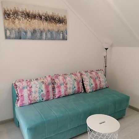 Apartman Andrijana 1 Sokobanja Zewnętrze zdjęcie