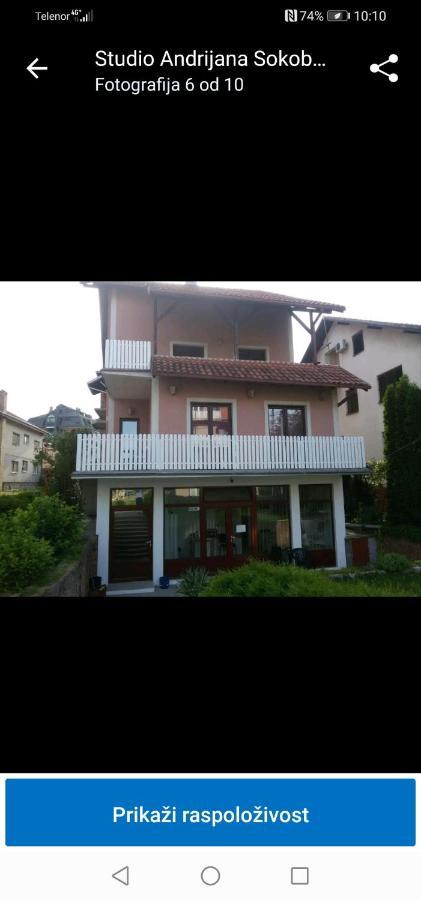Apartman Andrijana 1 Sokobanja Zewnętrze zdjęcie